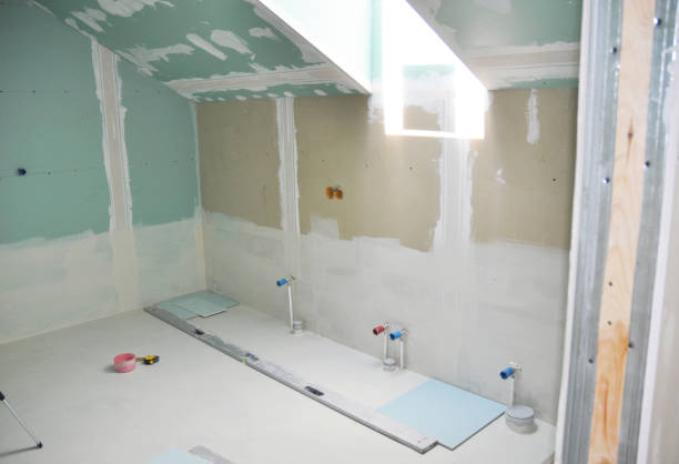 Best Emergency Mold Remediation  in Ashburn, GA