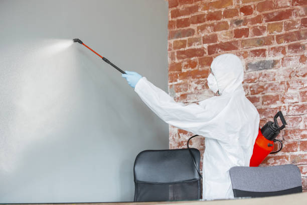 Best Asbestos and Lead Testing During Mold Inspection  in Ashburn, GA