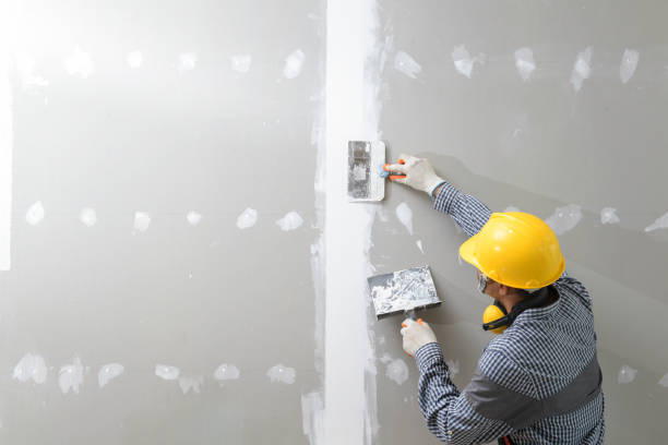 Ashburn, GA Mold Removal Company